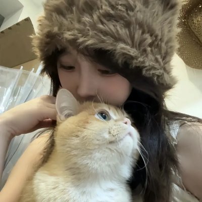 岛：消失的人们